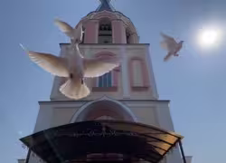 Храм и голуби